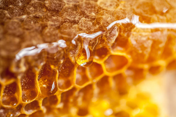 What is the Nutritional Value of Honey and is Honey Healthy for You?