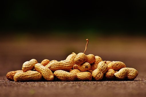 What is the Nutritional Value of Peanut per 100g and is Peanut per 100g Healthy for You?