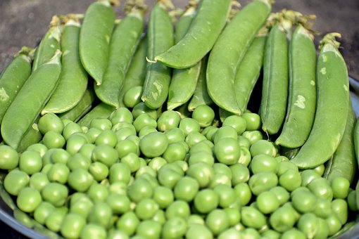 What is the Nutritional Value of Green Beans and is Green Beans Healthy for You?