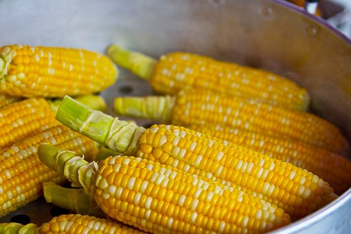 How many Calories in a Corn and is Corn Healthy for You?