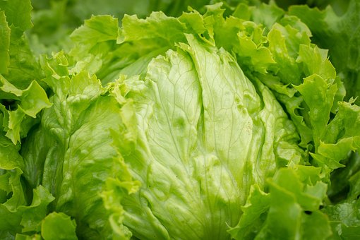 What is the Nutritional Value of Iceberg Lettuce and is Iceberg Lettuce Healthy for You?