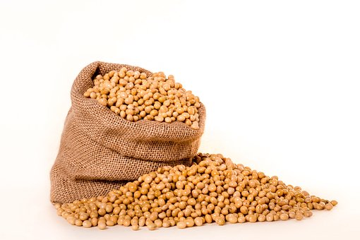What is the Nutritional Value of Soybean and is Soybean Healthy for You?