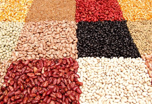 What is the Nutritional Value of Legumes and is Legumes Healthy for You?