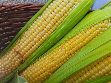 What is the Nutritional Value of Sweet Corn and is Sweet Corn Healthy for You?