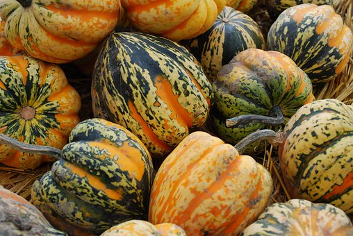 What is the Nutritional Value of Acorn Squash and Is Acorn Squash Healthy for You?