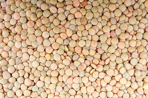 What is the Nutritional Value of Lentils and Are Lentils Healthy for You?