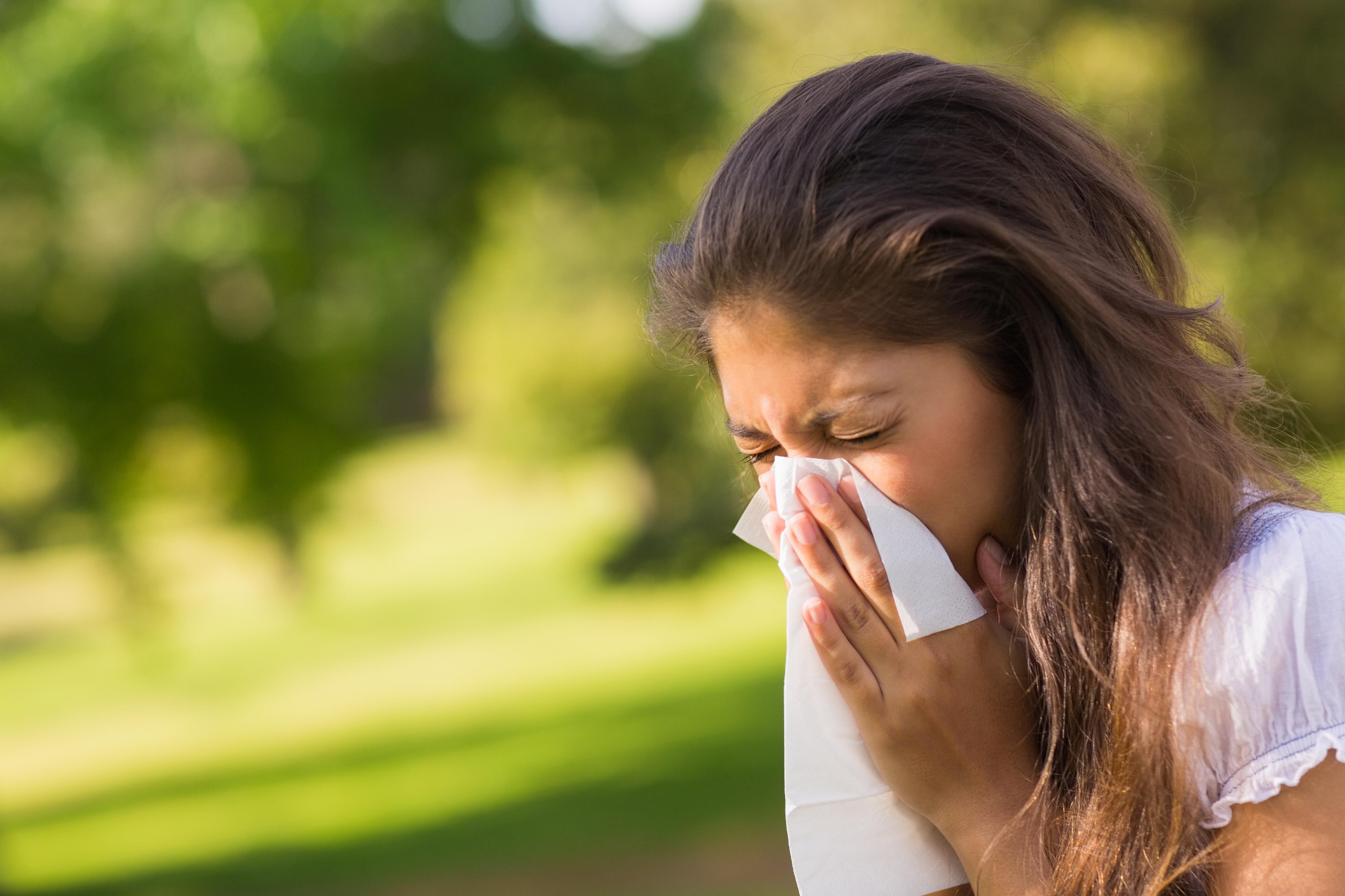 What are the Symptoms of Pollen Allergy and the Treatment for Pollen Allergy?