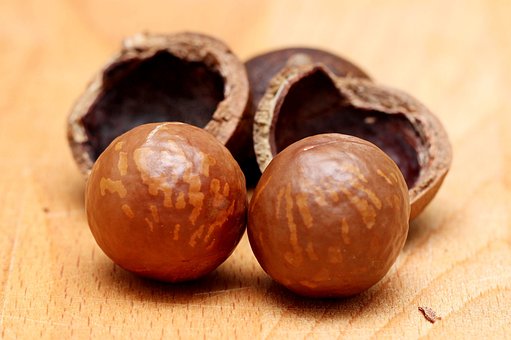 What is the Nutritional Value of Macadamia Nuts and Is Macadamia Nuts Healthy for You?