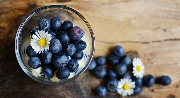 What is the Nutritional Value of Fresh Blueberries and Are Fresh Blueberries Healthy for You?