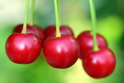 What is the Nutritional Value of Fresh Cherries and Are Fresh Cherries Healthy for You?