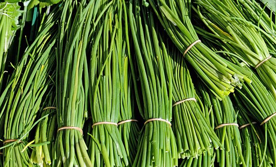 What is the Nutritional Value of Chives and Are Chives Healthy for You?