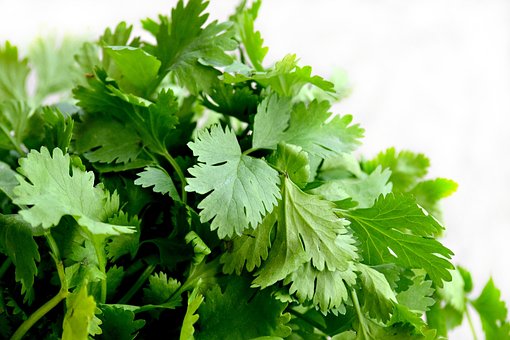 What is the Nutritional Value of Parsley and Is Parsley Healthy for You?