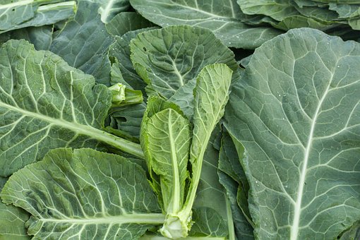 What is the Nutritional Value of Collard Greens and Is Collard Greens Healthy for You?