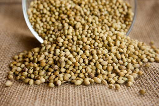 What is the Nutritional Value of Coriander Seeds per 100g and Are Coriander Seeds per 100g Healthy for You?
