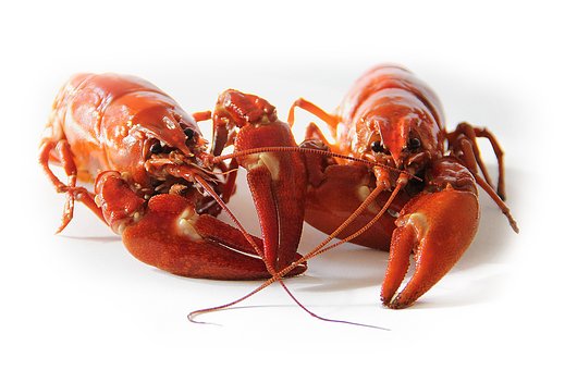 What is the Nutritional Value of Crayfish and Is Crayfish Healthy for You?