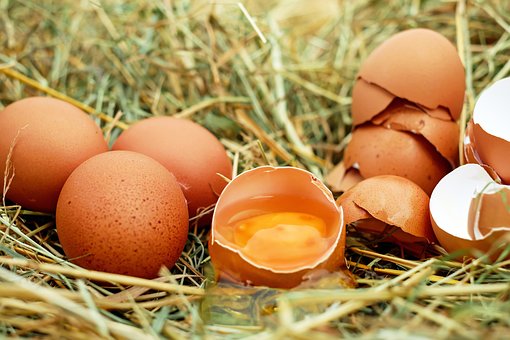 What is the Nutritional Value of Poultry Eggs and Are Poultry Eggs Healthy for You?