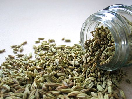 What is the Nutritional Value of Fennel Seeds and Are Fennel Seeds Healthy for You?