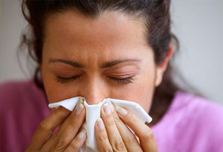 What are the Symptoms of Hay Fever and the Treatment for Hay Fever?