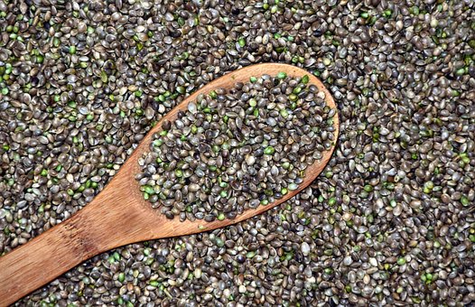 What is the Nutritional Value of Hemp Seeds per 100g and Are Hemp Seeds per 100g Healthy for You?