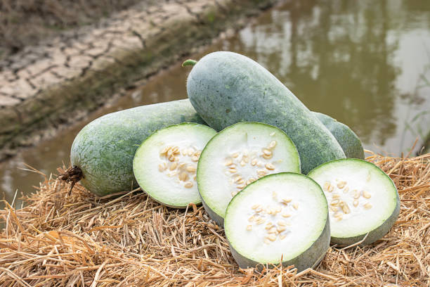 What is the Nutritional Value of Ash Gourd and Is Ash Gourd Healthy for You?