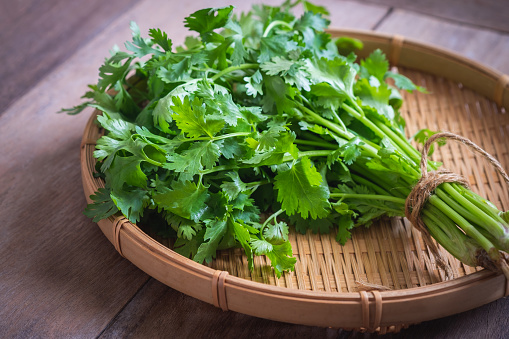 What is the Nutritional Value of Cilantro and Is Cilantro Healthy for You?