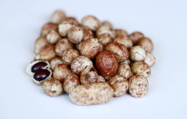 What is the Nutritional Value of Bambara Nut and Is Bambara Nut Healthy for You?