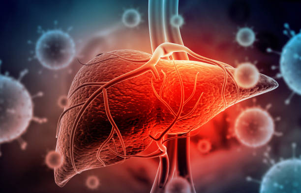 What are the Symptoms of Liver and the Treatment for Liver?
