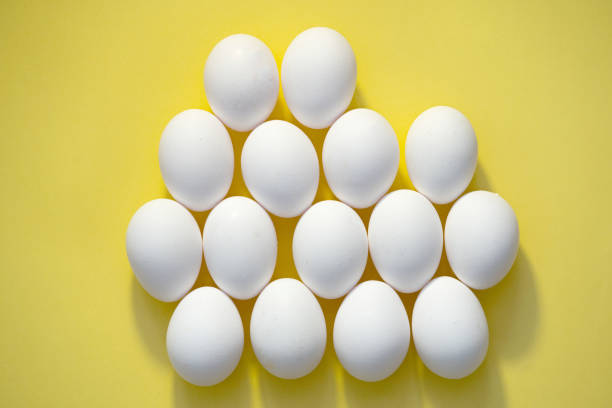 What is the Nutritional Value of Eggs and Are Eggs Healthy for You?