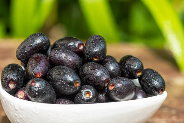 What is the Nutritional Value of Java Plum and Are Java Plum Healthy for You?