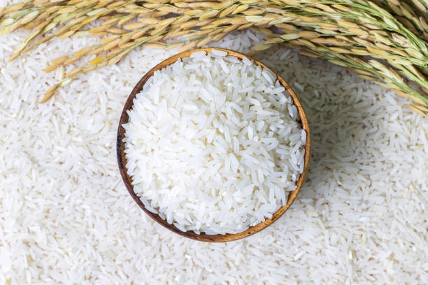 What is the Nutritional Value of Rice Polish and Is Rice Polish Healthy for You?