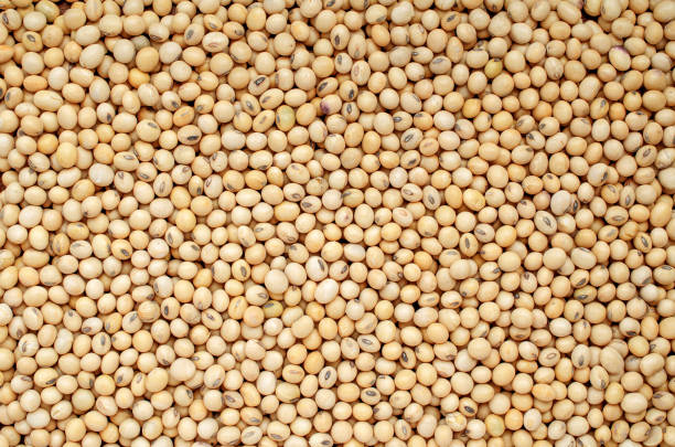 What is the Nutritional Value of Soya Beans per 100g and Is Soya Beans per 100g Healthy for You?