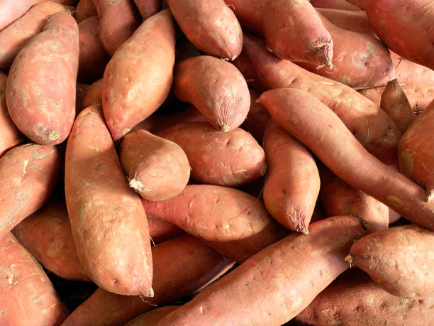 What is the Nutritional Value of Large Sweet Potato and Are Large Sweet Potato Healthy for You?