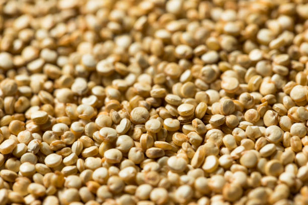What is the Nutritional Value of Urad Dal and Is Urad Dal Healthy for You?