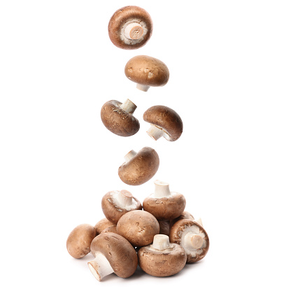 What is the Nutritional Value of Mushroom and Is Mushroom Healthy for You?