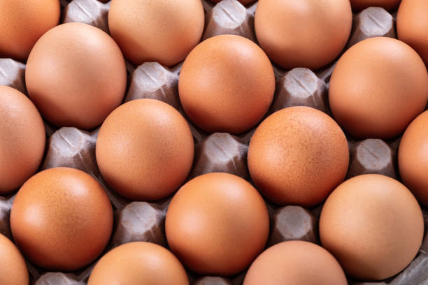 What is the Nutritional Value of Eggs and Are Eggs Healthy for You?