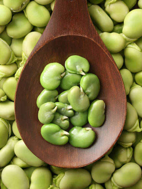 What is the Nutritional Value of Lima Beans and Is Lima Beans Healthy for You?