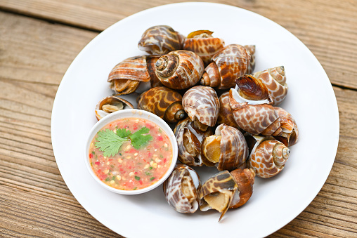 What is the Nutritional Value of Snail and Is Snail Healthy for You?