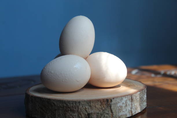What is the Nutritional Value of a Large Egg and Is a Large Egg Healthy for You?