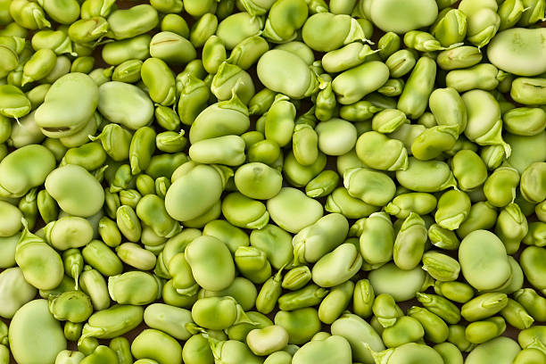 What is the Nutritional Value of Butter Beans and Is Butter Beans Healthy for You?