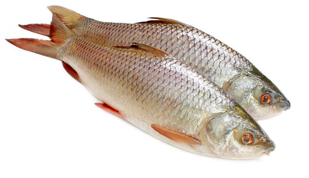 What is the Nutritional Value of Rohu Fish per 100g and Is Rohu Fish per 100g Healthy for You?