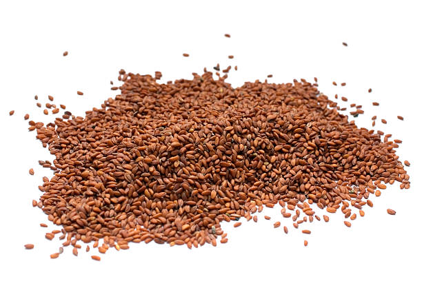What is the Nutritional Value of Garden Cress Seeds and Are Garden Cress Seeds Healthy for You?