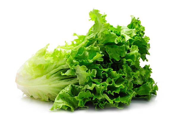 What is the Nutritional Value of Green Leaf Lettuce and Is Green Leaf Lettuce Healthy for You?