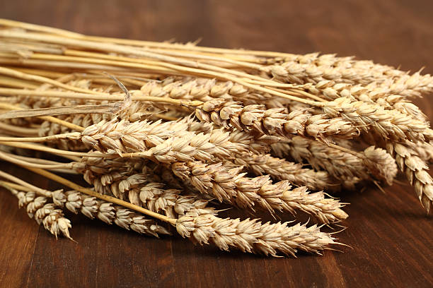 What is the Nutritional Value of Barley and Is Barley Healthy for You?