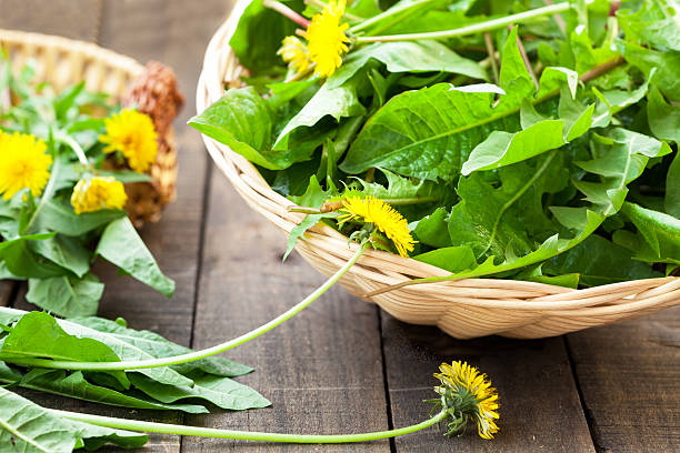 What is the Nutritional Value of Dandelion and Is Dandelion Healthy for You?