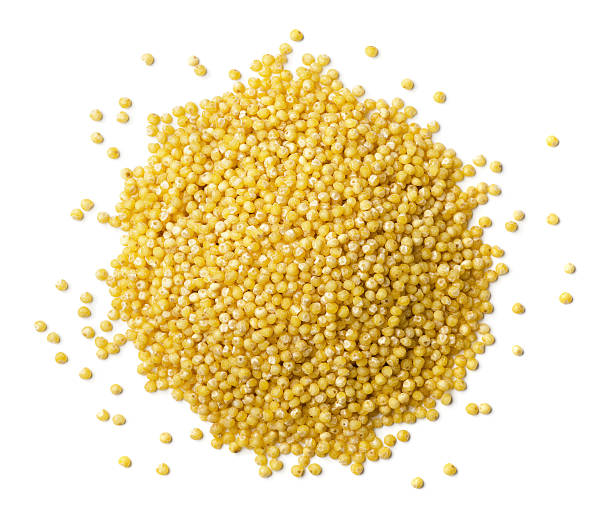 What is the Nutritional Value of Millet and Is Millet Healthy for You?