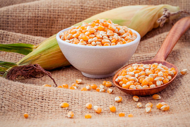 What is the Nutritional Value of Maize Meal and Is Maize Meal Healthy for You?