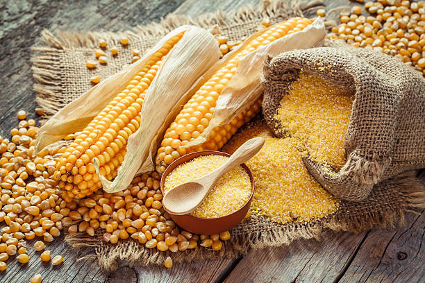 What is the Nutritional Value of Cornmeal and Is Cornmeal Healthy for You?
