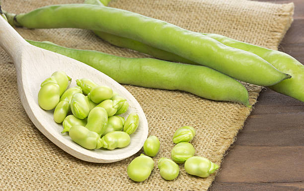 What is the Nutritional Value of Broad Beans and Are Broad Beans Healthy for You?