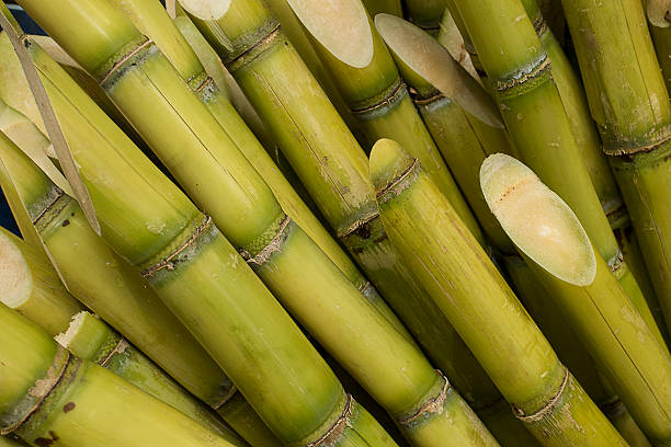 What is the Nutritional Value of Sugarcane per 100g and Is Sugarcane per 100g Healthy for You?