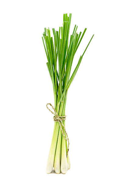 What is the Nutritional Value of Lemon Grass and Are Lemon Grass Healthy for You?